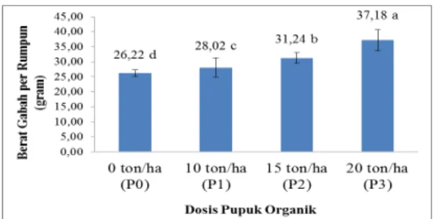 Gambar 12.   Pengaruh dosis pupuk organik terhadap hasil padi per petak (kg).   Rata- Rata-rata yang diikuti huruf yang sama menunjukkan berbeda tidak nyata pada uji  jarak berganda Duncan taraf 5%