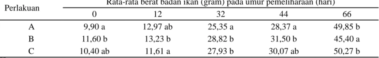 Tabel 5. Berat badan ikan (gram) pada beberapa tingkat umur pemeliharaan (hari)