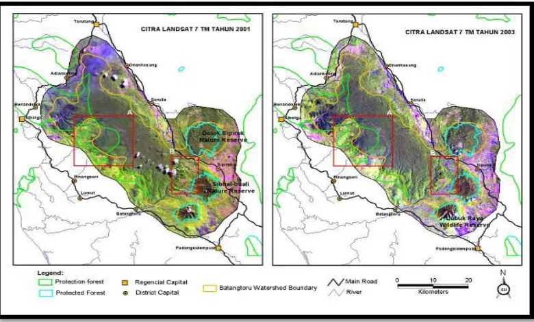 Gambar 2.3. Kondisi Perubahan Peningkatan Kerusakan Habitat Alamiah Orangutan Sumatera di Kawasan Hutan DAS Batang Toru Barat pada Tahun 2001 Dibandingkan pada Tahun 2003 ( CI Indonesia, PT
