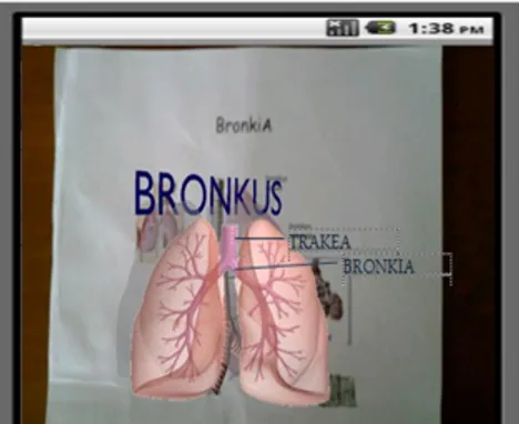 Gambar 8 Tampilan Augmented Reality untuk Organ Bronkus 