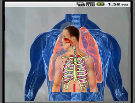 Gambar 10 Tampilan Augmented Reality untuk Pernafasan Dada 