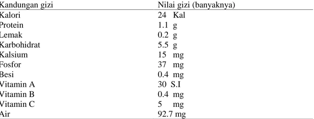 Tabel  2.1.  Komposisi  Kandungan  Gizi  Buah  Terung  Segar  (Per 100  g Bahan).