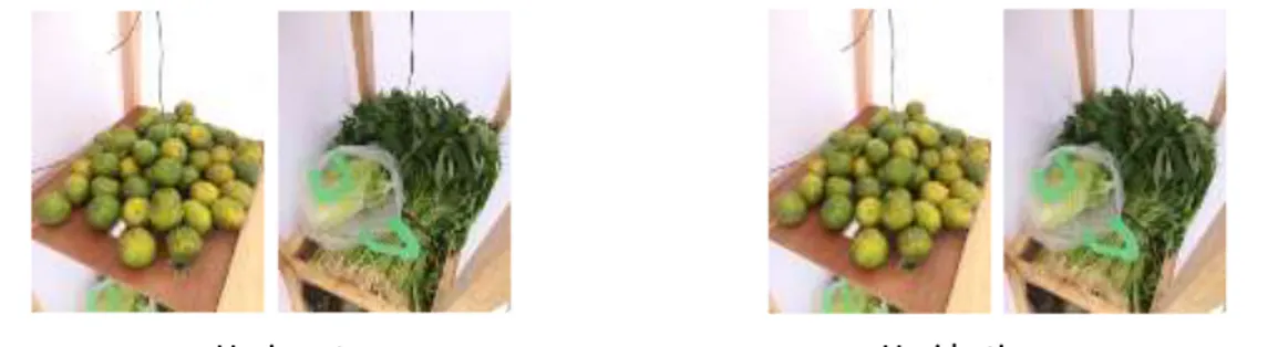 Gambar 7. Kondisi sayuran dan buah pada hari pertama dan ketiga 
