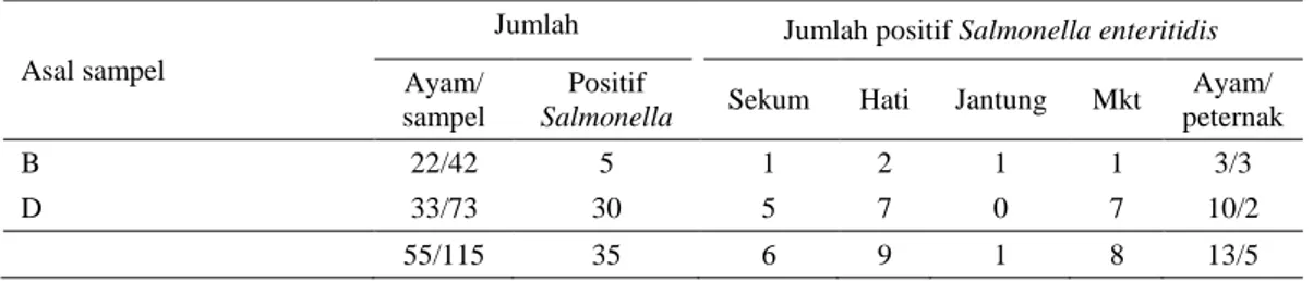 Tabel 2.  Hasil  isolasi  dan  identifikasi  S.  enteritidis  dari  sampel  ayam  pedaging  pada  peternakan  di  dua 
