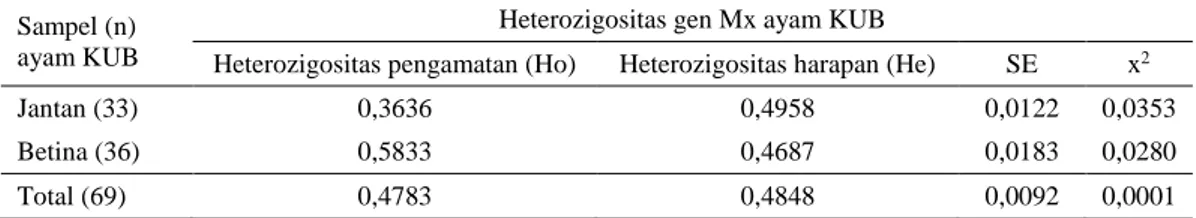 Tabel 2.  Heterozigositas  pengamatan  (Ho)  dan  heterozigositas  harapan  (He)  gen  Mx  ayam  KUB  hasil  genotiping RT-PCR 