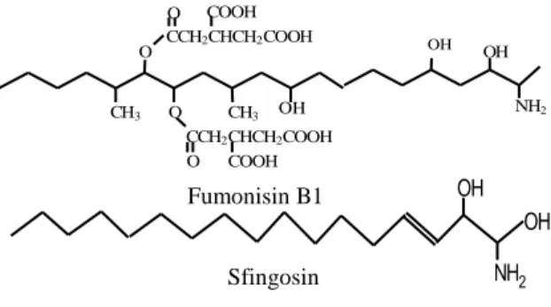 Gambar 1. Struktur FB1 dan sfingosin 