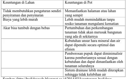Tabel 1. Perbandingan Keuntungan Budi Daya di Lahan dan di Pot 