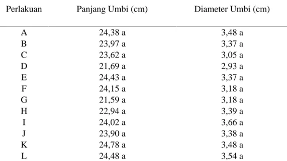 Tabel  3. Pengaruh  Kombinasi  Dosis  Pupuk  Cair  dan  Sistem  Pengolahan  Tanah  Terhadap Panjang dan Diameter Umbi (cm) 80 HST.