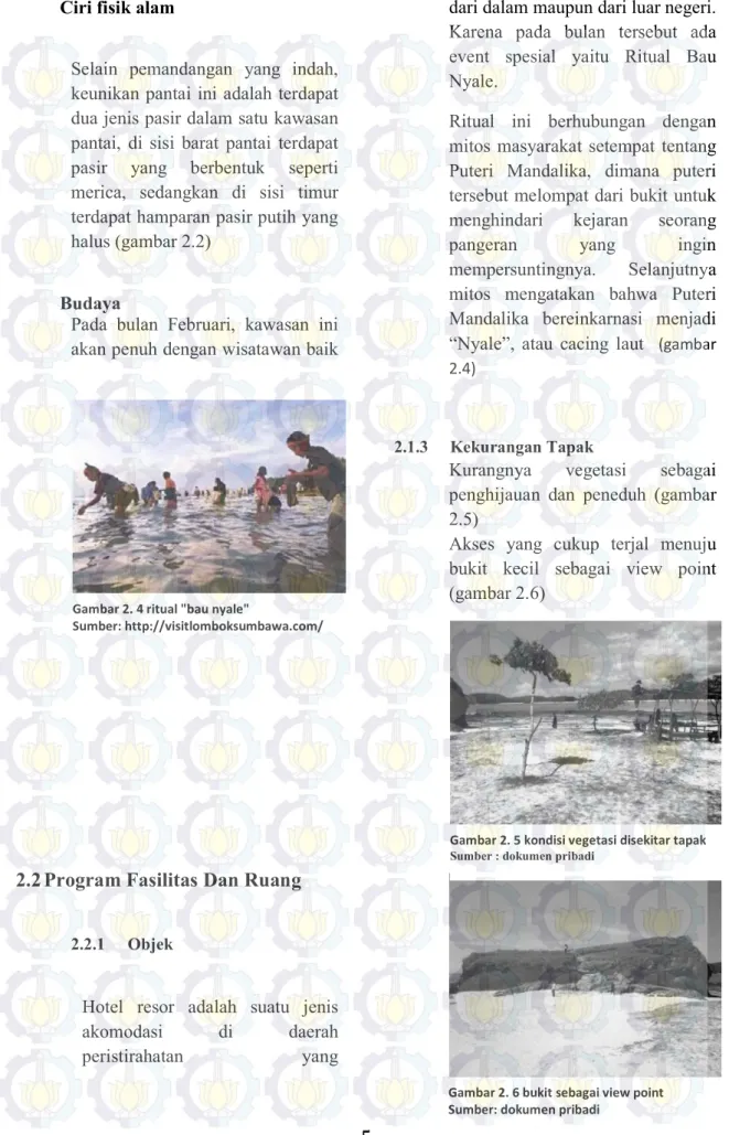 Gambar 2. 4 ritual "bau nyale"  