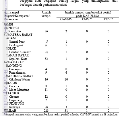 Tabel 3.1  Deteksi Chili veinal mottle virus pada sampel tanaman cabai tidak 