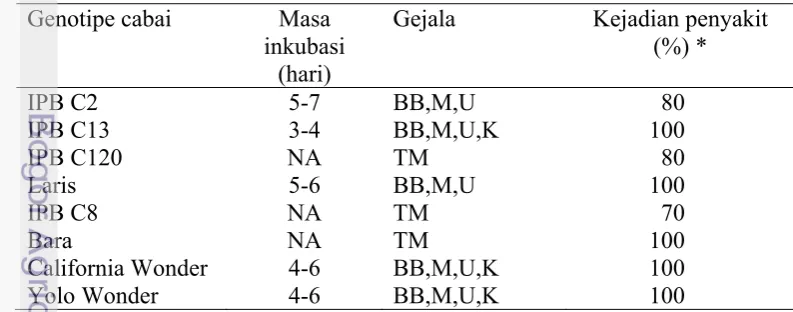 Tabel 4.2 Respon genotipe cabai terhadap isolat Chili veinal mottle virus-CKB 