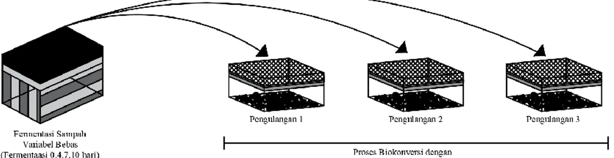 Gambar 3.2. Desain penelitian dengan tiga kali pengulangan pada proses     biokonversi dengan larva BSF 