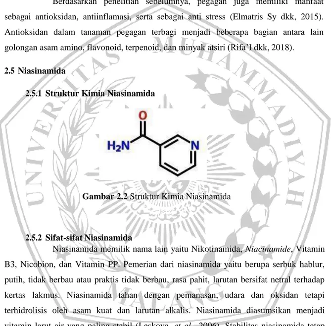 Gambar 2.2 Struktur Kimia Niasinamida 