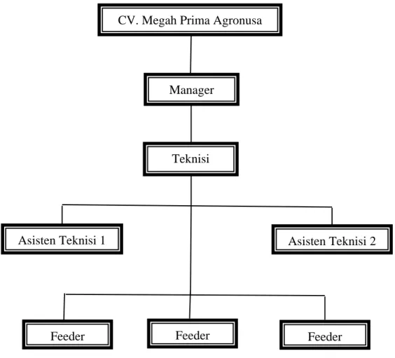 Gambar 4.1 Struktur Organisasi di Tambak CV. Megah Primah Agronusa CV. Megah Prima Agronusa 