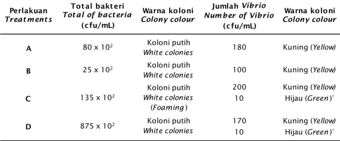 Tabel 3. Kepadatan bakteri flok pada bak penelitian ikan bandeng Table 3. Density of bacteria floc in the rearing tank of milkfish hatchery