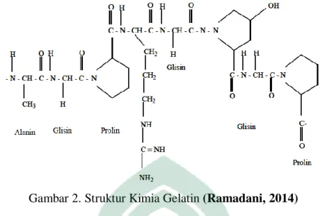 Gambar 2. Struktur Kimia Gelatin (Ramadani, 2014) 