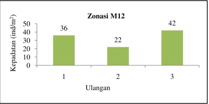 Gambar 4. Grafik Kepadatan Uca annulipes.  Ukuran Karapas dan Berat Uca 