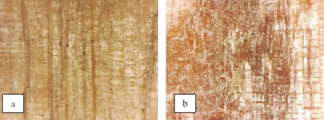 Gambar 1. Warna kayu tidak terpapar H SO (a) dan warna kayu yang terpapar 2 4 H SO 2 4 (b)