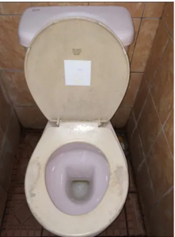 Gambar 7. Bekas kaki pada dudukan toilet.  Pengguna  yang  memilih  jongkok  di  atas  dudukan  saat  menggunakan  toilet  duduk  antara  lain  karena  mayoritas  masyarakat  Indonesia  memang  memiliki  budaya  jongkok  saat  buang  air