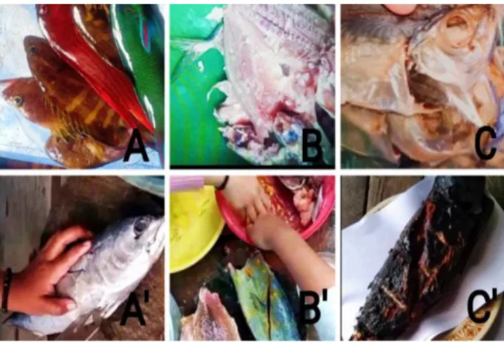 Gambar 1. Olahan Produk Awetan Hewani Siswa. (A) Ikan karang, (B) Proses Penggaraman Ikan, (C) Ikan  Asin, (A') Ikan Tongkol, (B') Pengolahan Ikan Tongkol, (C') Ikan Tongkol Asap (Sumber; Dokumentasi 