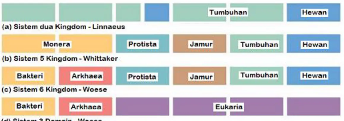 Gambar 2. Perkembangan sistem klasifikasi makhluk hidup  (sumber:http://schoolbag. Info/biology/living/121.html) 