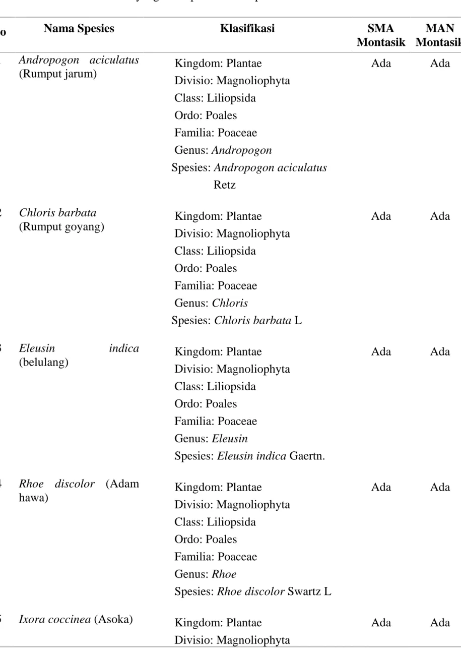 Tabel 1. Jenis-Jenis Tumbuhan yang Terdapat di Beberapa Sekolah SMA dan MA