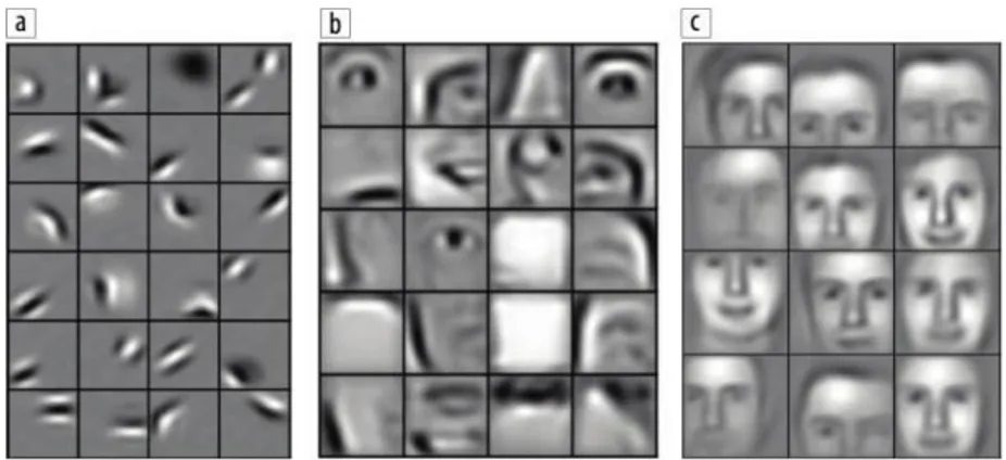 Gambar 2.5 Visualisasi bagaimana wajah dapat direpresentasikan dengan CNN. (a) tepi dengan  orientasi berbeda membentuk (b) mata, hidung, dan mulut yang bisa digunakan untuk mewakili (c) 
