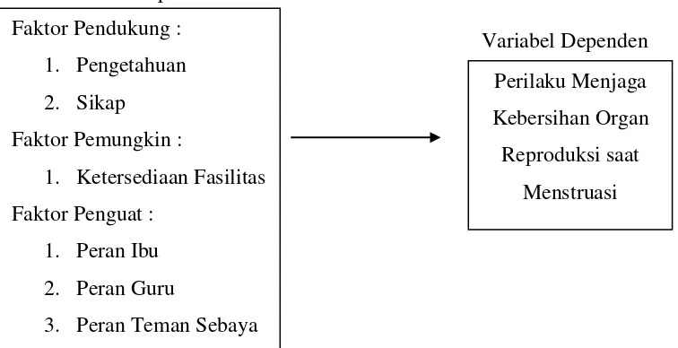 Gambar 2.2 Kerangka Konsep Penelitian 