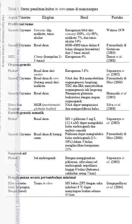 Tabel 1. Status penelitian kultur in vitro nenas di mancanegara 