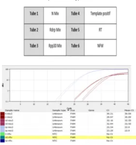 Gambar 3.19. Hasil pengujian template kontrol positif prototype Kit Real Time PCR