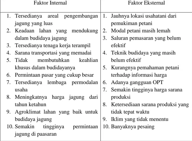 Tabel 17. Hasil identifikasi data internal dan eksternal di Desa Marayoka Kecamatan    Bangkala Kabupaten Jeneponto 2014