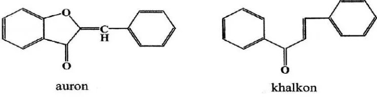 Gambar 6. Struktur antosianin 