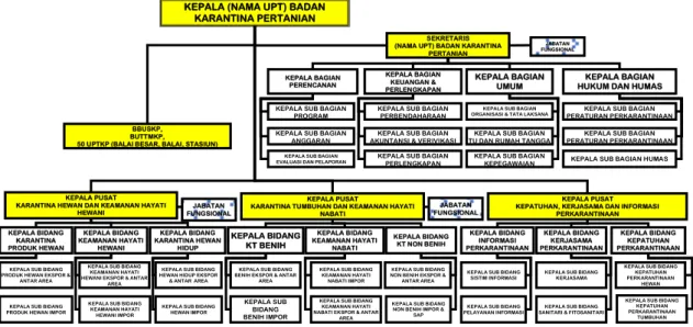 Gambar 5 Struktur Organisasi Badan Karantina Pertanian 
