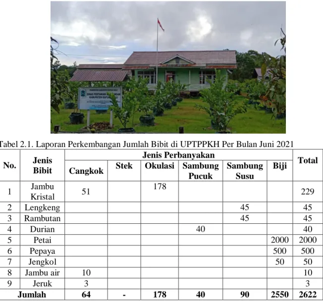 Gambar 2.1 Lokasi UPTPPKH 