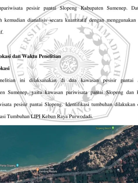 Gambar 3.1 Peta pesisir Pantai Slopeng (skala 1:1000) (Sumber: Google Earth, 2018). 