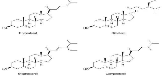 Gambar 4 Struktur kimia dari kolesterol dan phytosterol 