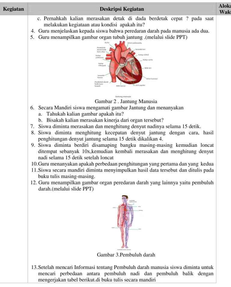 Gambar 2 . Jantung Manusia 