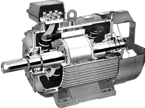 Gambar 2.2 Motor Induksi 3 Phasa Modern 