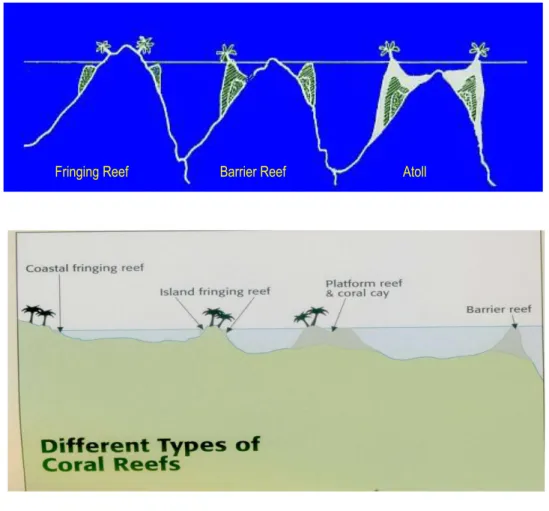 Gambar  2.1  Tipe terumbu karang menurut klasifikasi Darwin 