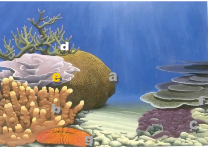 Gambar 2.8   Bentuk pertumbuhan karang (coral lifeform) 
