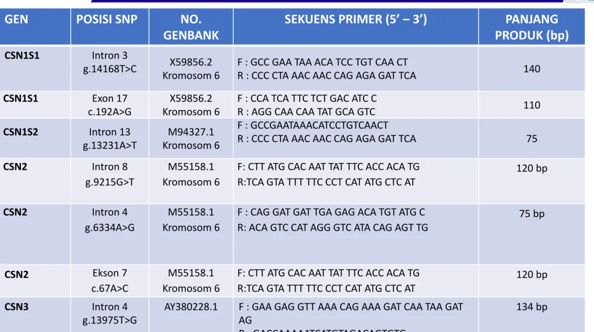 Tabel 1 Primer RT-Polymerase Chain Reaction (PCR)