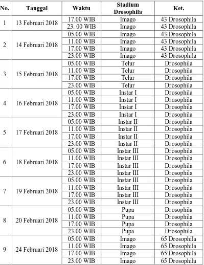 Tabel 2. Hasil Pengamatan Siklus Hidup Drosophila Sp. (Naufal Ahmad 