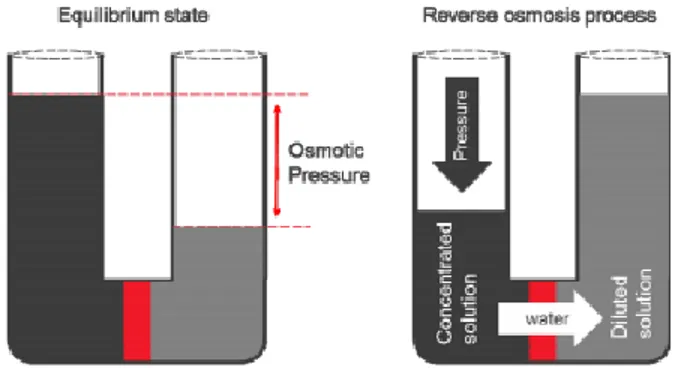 Gambar 2. 6 Prinsip Osmosis dan Reverese Osmosis  II.7 Desalinasi menggunakan reverse osmosis 