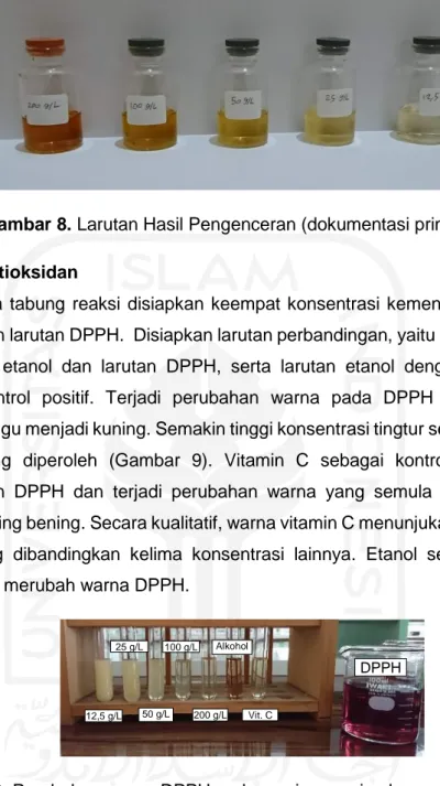 Gambar 9. Perubahan warna DPPH pada masing-masing konsentrasi tingtur  kemenyan, alkohol, dan vitamin C (dokumentasi primer) 