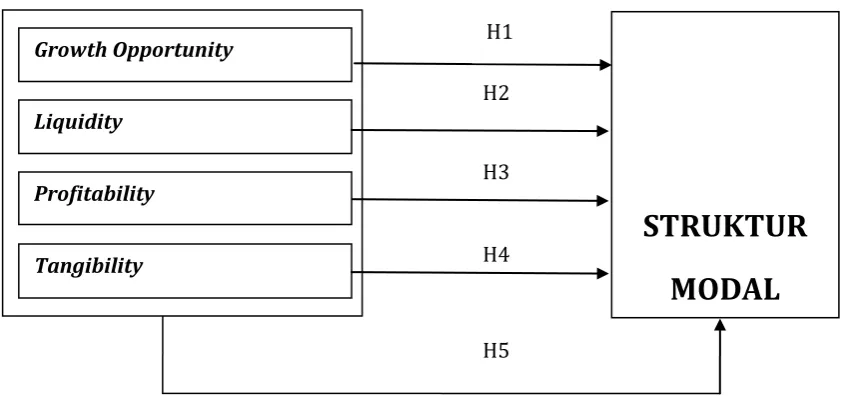 Gambar 2.1 Kerangka konseptual 