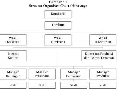 Gambar 3.1 Struktur Organisasi CV. Tabitha Jaya  