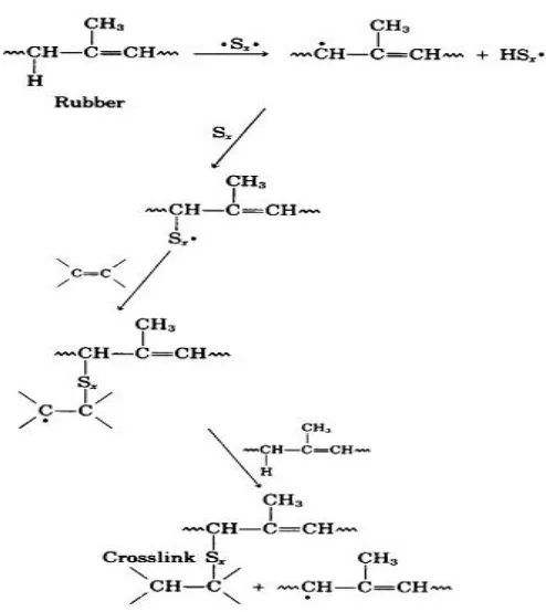 Gambar 2.3. Skema Reaksi Vulkanisasi Sulfur [2] 