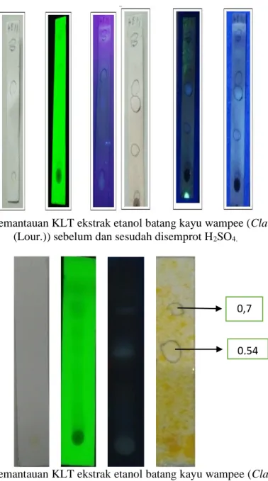 Gambar 2 Hasil pemantauan KLT ekstrak etanol batang kayu wampee (Clausena lansium  (Lour.)) sebelum dan sesudah disemprot H 2 SO 4