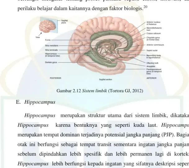 Gambar 2.12 Sistem limbik (Tortora GJ, 2012) 