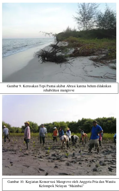 Gambar 9. Kerusakan Tepi Pantai akibat Abrasi karena belum dilakukan 
